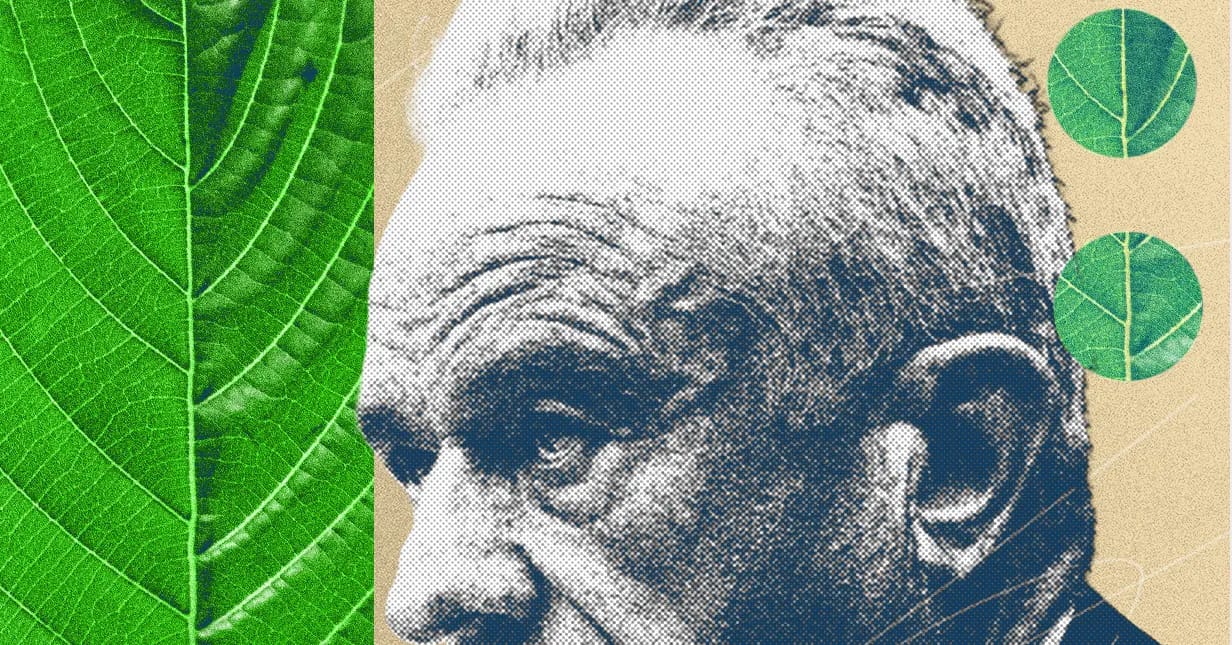 The Kratom Civil War Is Heating Up, and MAHA Has Picked a Side