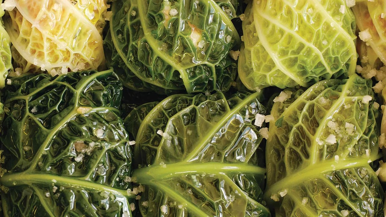 This New Cookbook by the Founder of Ghia Will Transport You Straight to a Mediterranean Summer