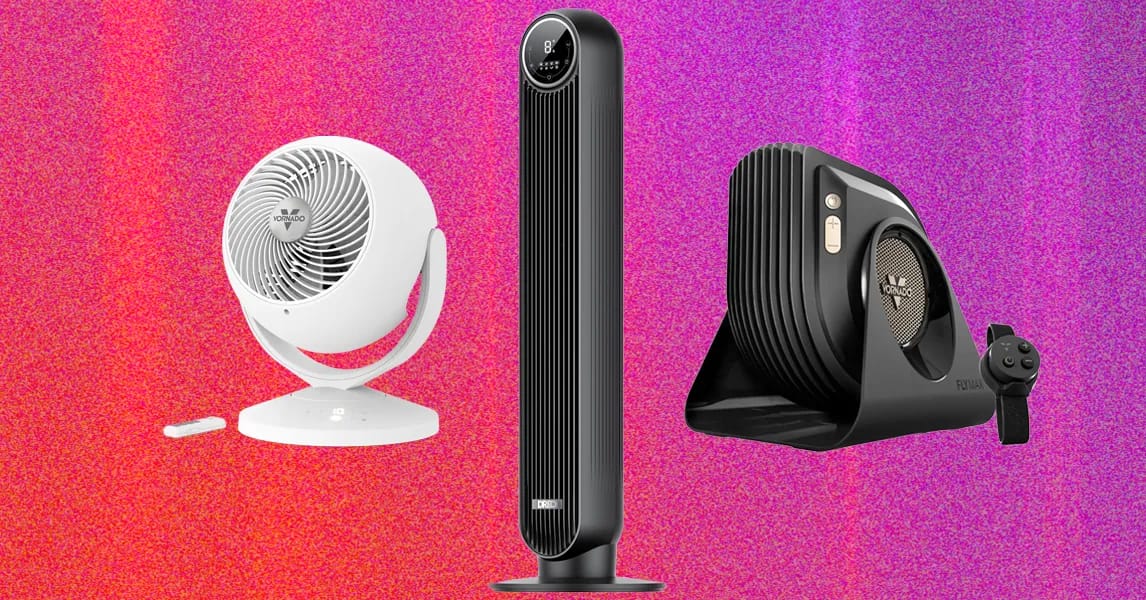The 13 Best Fans to Buy Before It Gets Hot Again (2026)