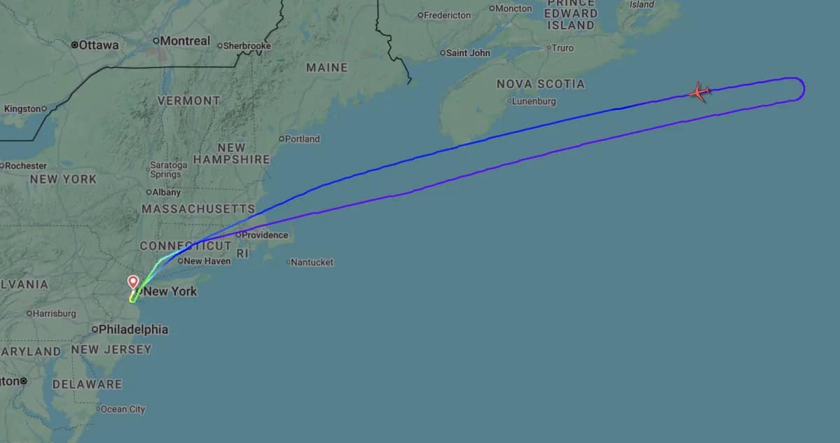 United flight forced to turn around because of a Bluetooth speaker name
