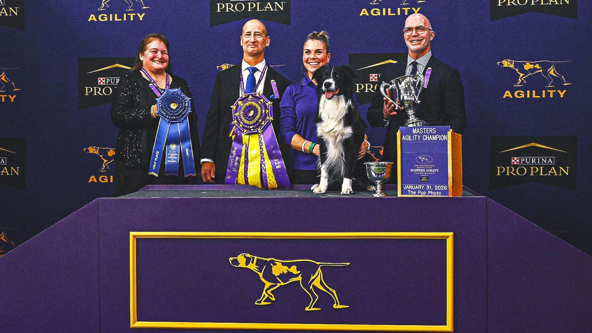 2026 WKC Dog Show: Prove-It The Border Collie Wins Masters Agility Championship